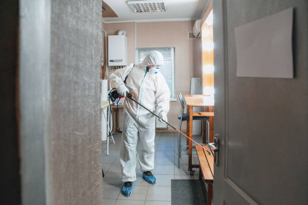 Environmental Consulting for Mold Prevention in Smethport, PA